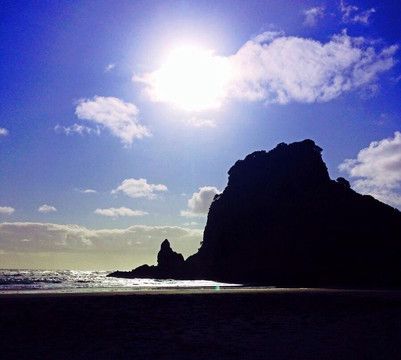 丛林海滩观光之旅-奥克兰中心地区必去景点