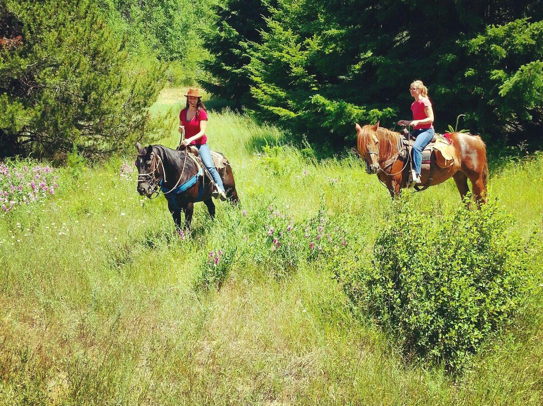 Happy Trails Horse Adventures-Cle Elum必去景点