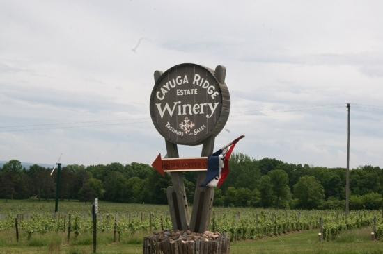 Cayuga Ridge Estate Winery景点图片