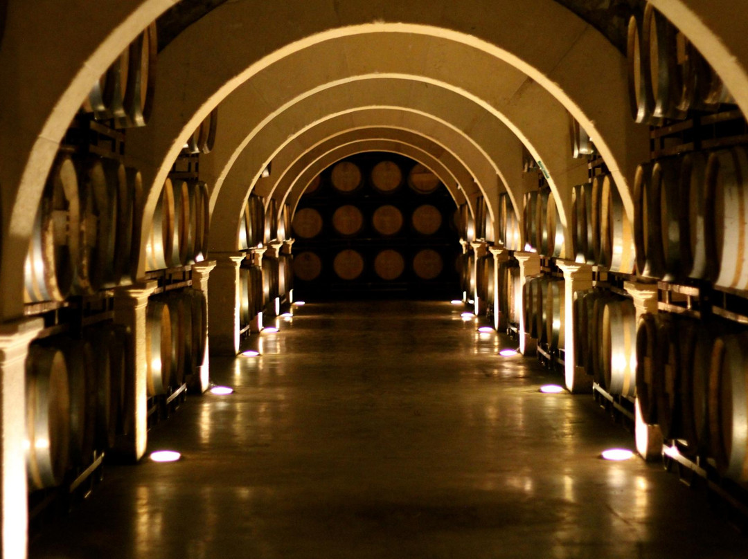 Bodegas Luzón