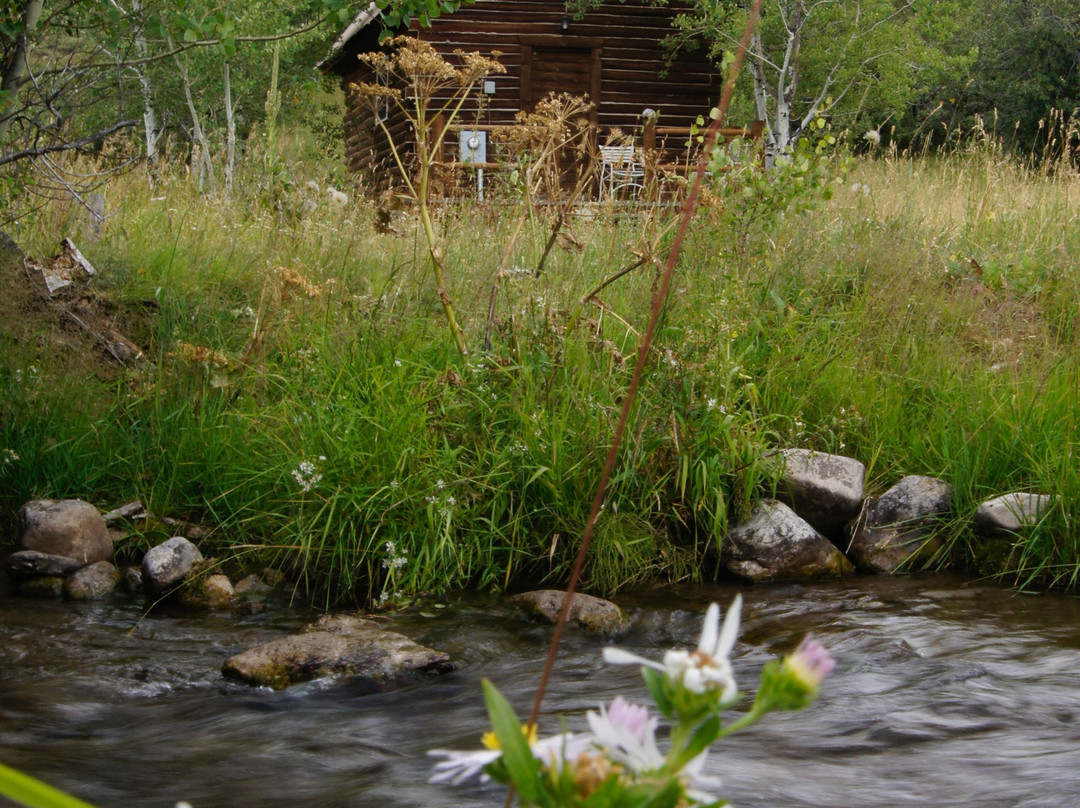 Preston Ranch Cabins