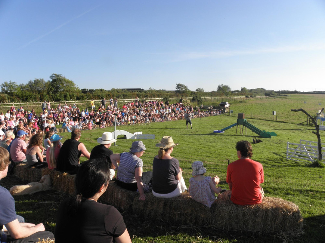 Borough Farm Sheepdog and Falconry Displays-伍拉科姆必去景点