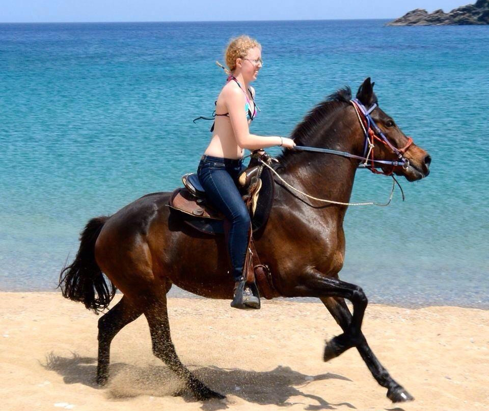 Mykonos Horseland-米科诺斯必去景点