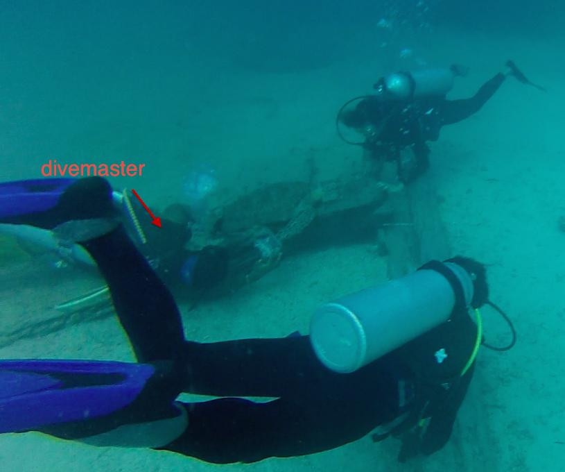 大约翰水肺潜水-仙本那必去景点