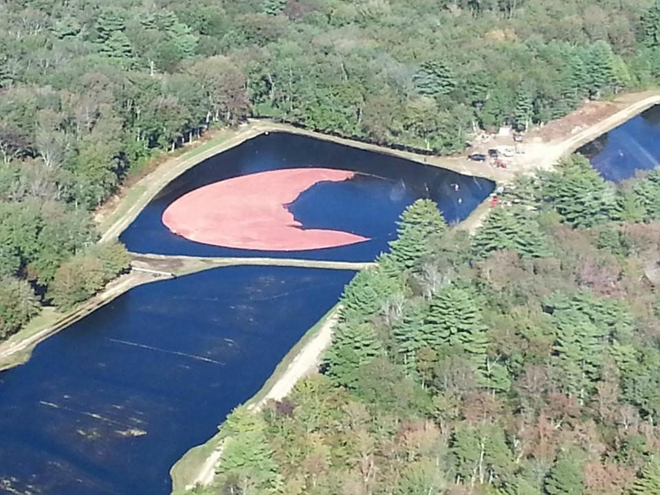 Firefly Inc Helicopters-South Carver必去景点