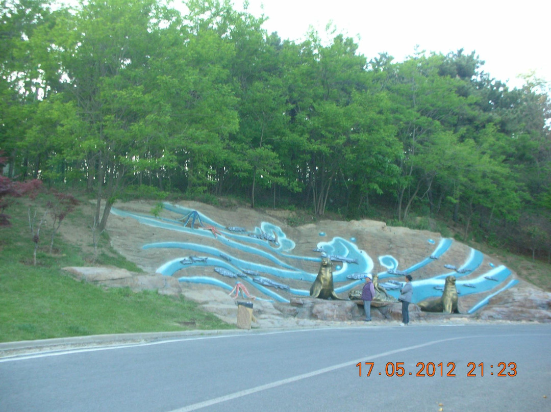 滨海路-大连市必去景点