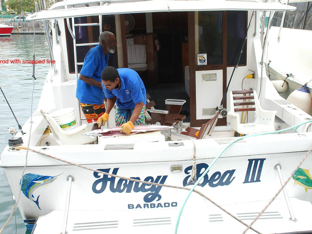 The Careenage-布里奇顿必去景点