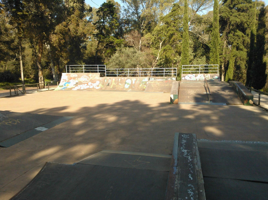 Parque Florestal De Monsanto-里斯本必去景点