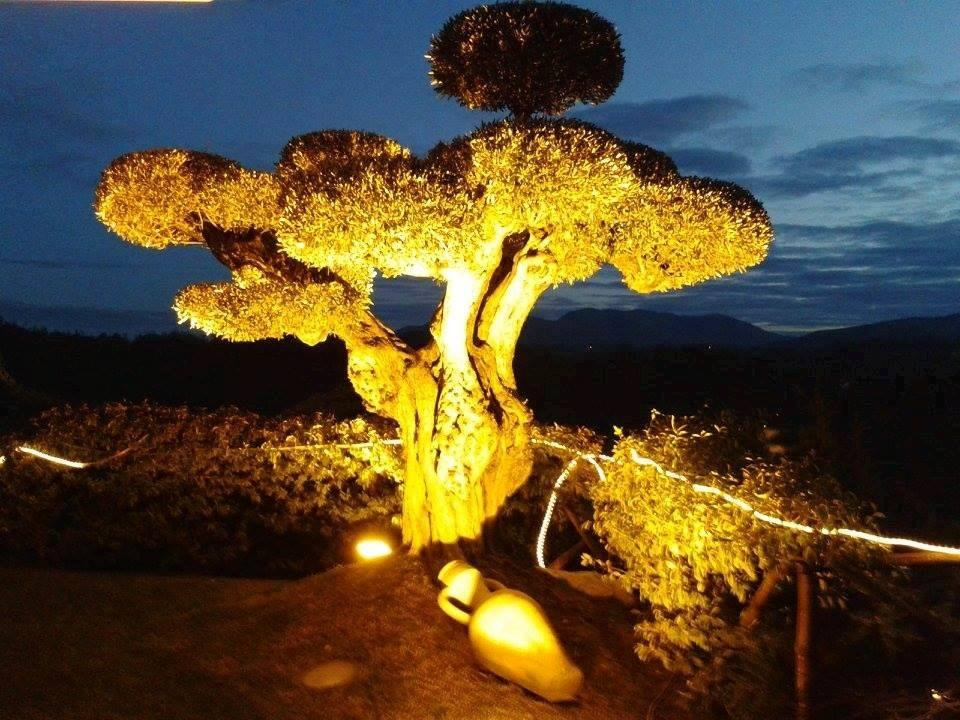 B&B Country House L'Ulivo Antico主图