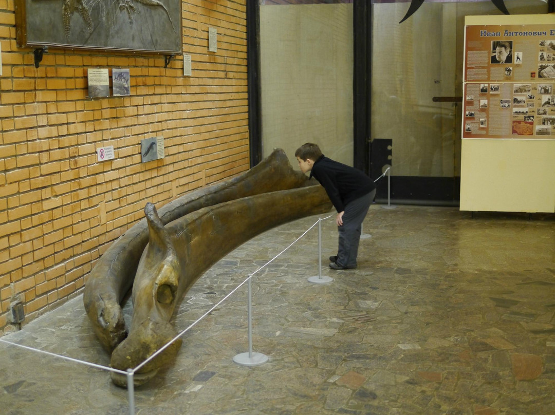 Orlov Paleontological Museum-莫斯科必去景点