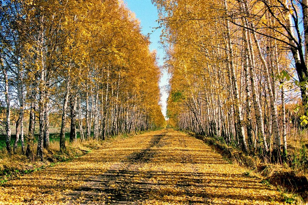 National Park Zuratkul-Satka必去景点