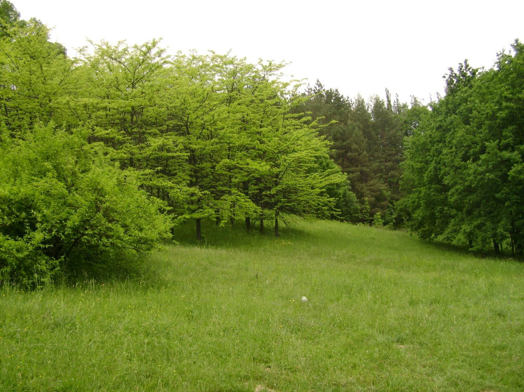 Krasnokutsk Arboretum-Krasnokutsk必去景点