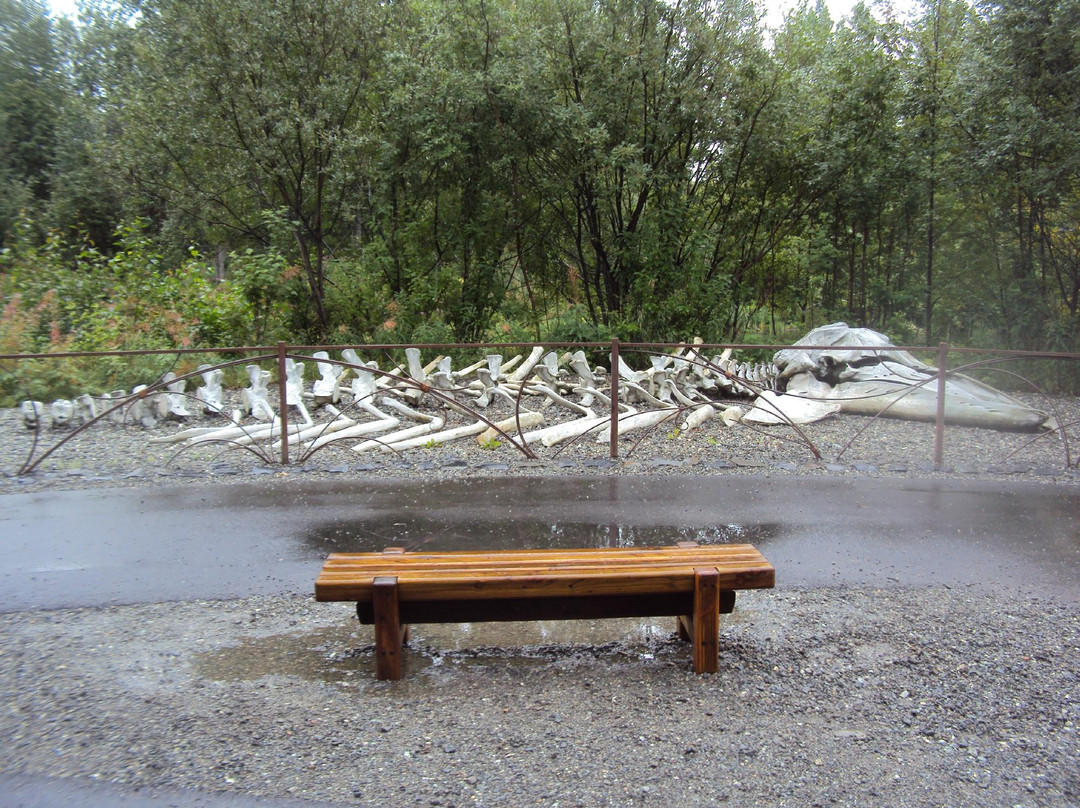 阿拉斯加原始遗迹中心-安克雷奇必去景点