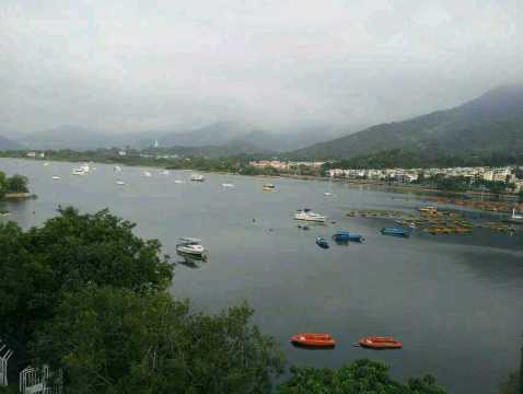 YHA白普理赛马会大美督青年旅舍(大埔)-客卧