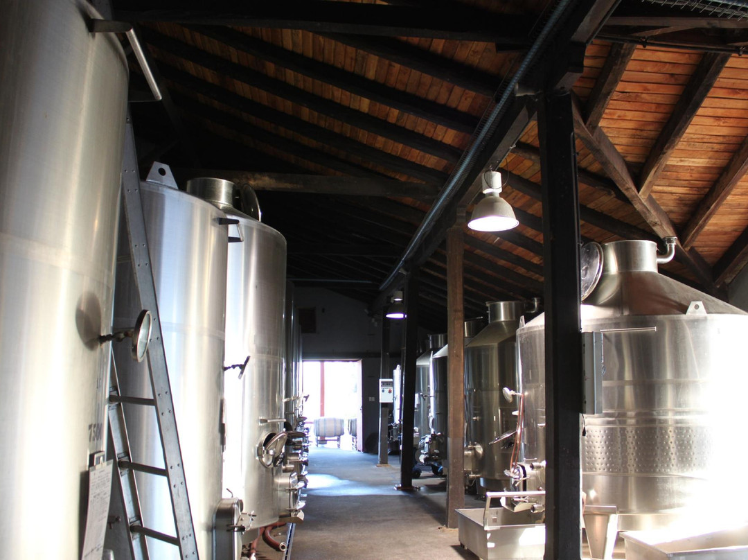 Erasmo-San Javier必去景点