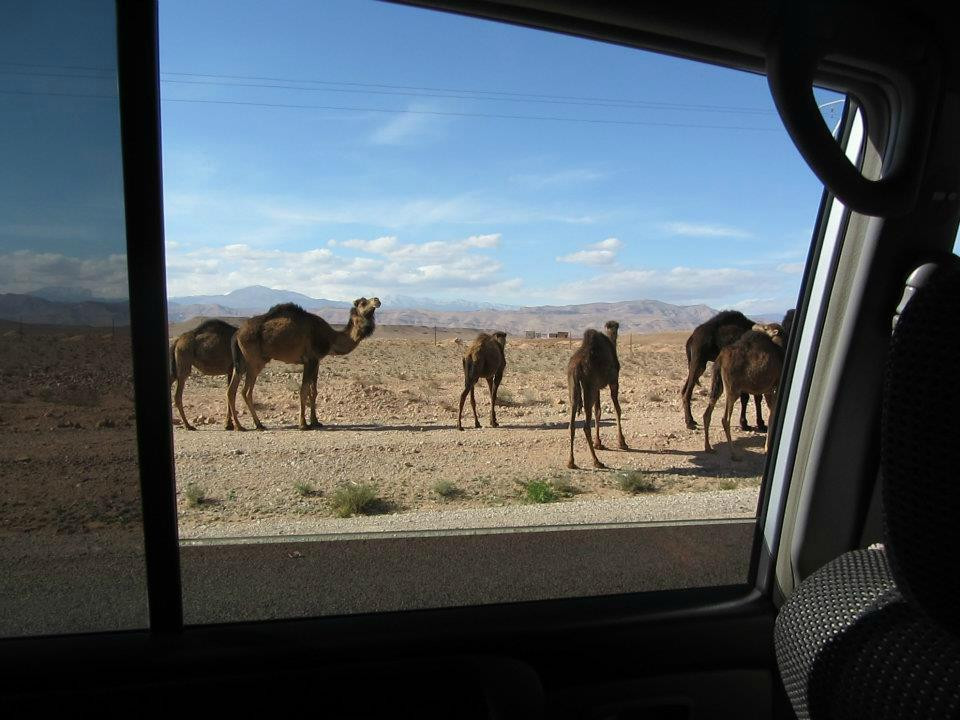 Perfect Choice Tours-非斯必去景点