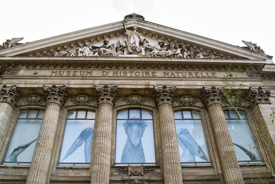 Muséum de Nantes-南特必去景点