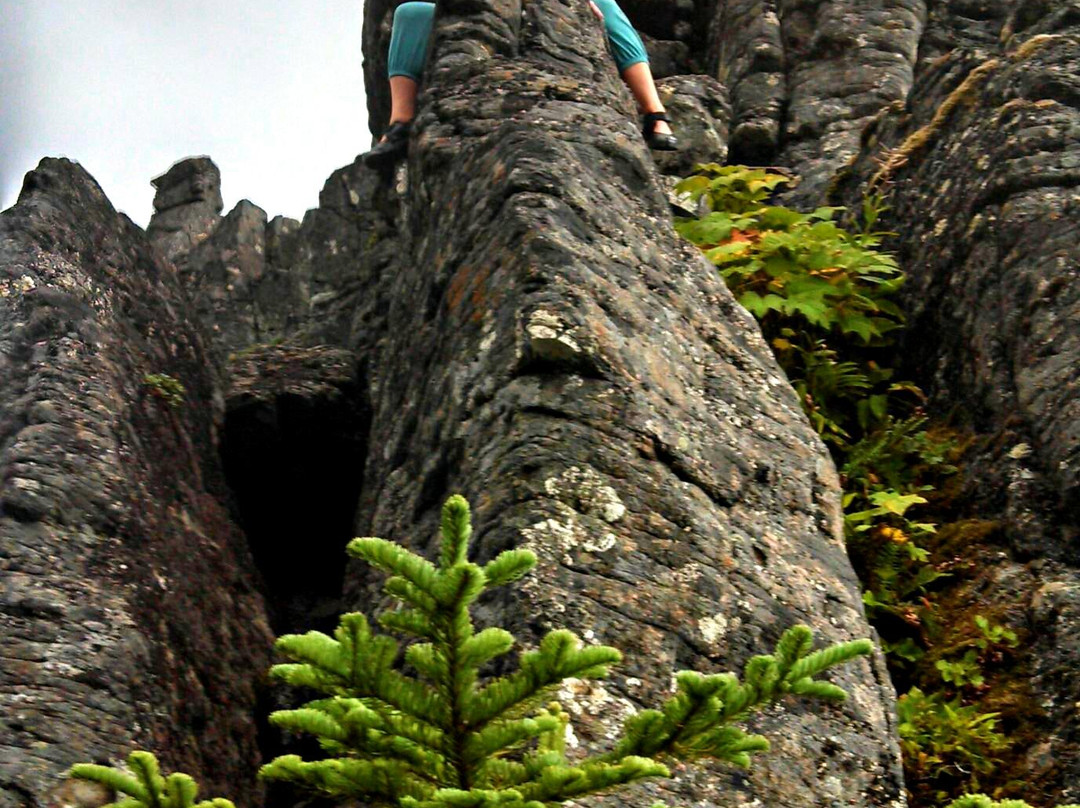 Table Rock Wilderness-Molalla必去景点