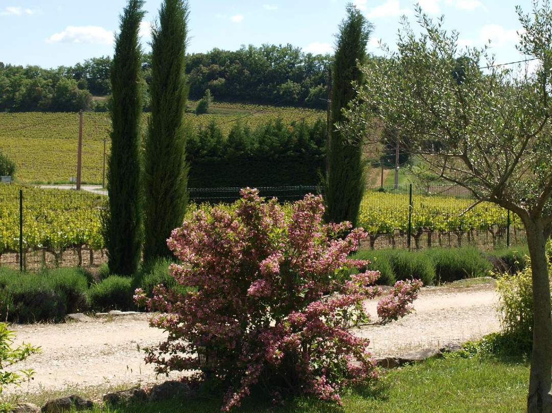 Le Jardin d'Antan主图