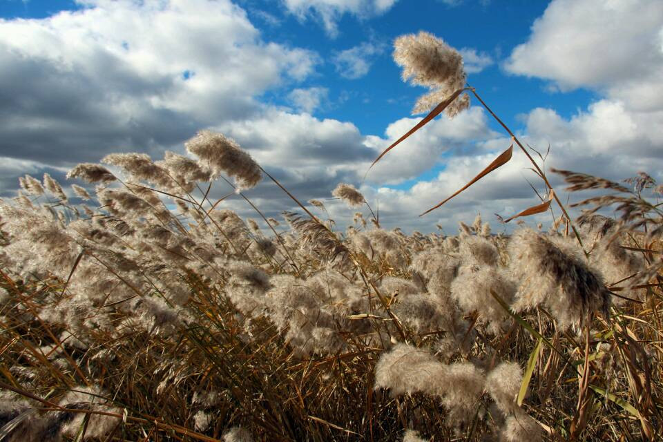 呼伦贝尔古城-呼伦贝尔市必去景点