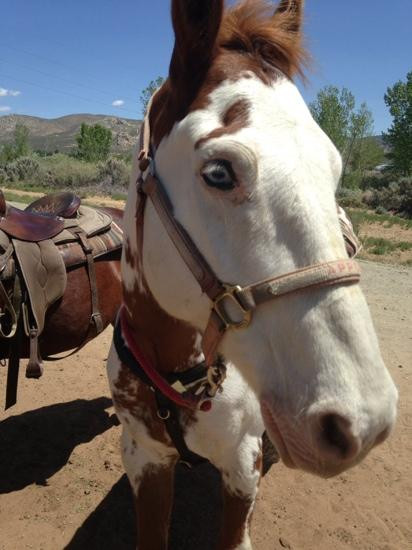 R and D Ranch-卡森城必去景点