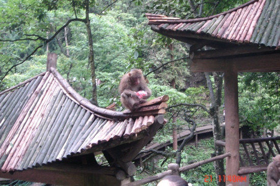 吴山-宝鸡市必去景点