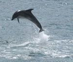 The Arthur Guest House主图