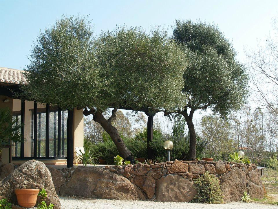 奥罗塞餐馆和美食-Agriturismo Gollei