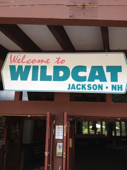 Wildcat Mountain-杰克逊必去景点