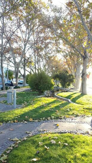 Hostal Los Juncos