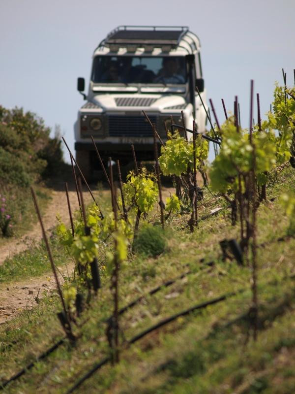 Uncharted Escapes-干尼亚必去景点