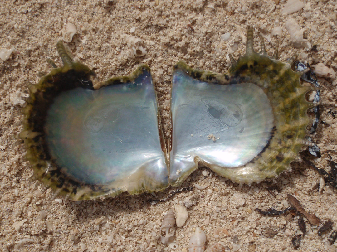 Film City-Al-Rayyan必去景点