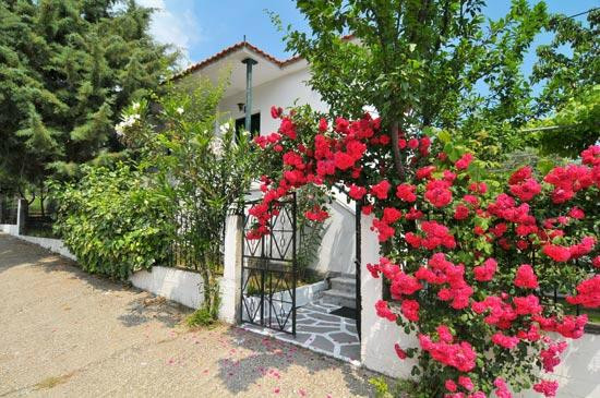 Filippina Studios主图