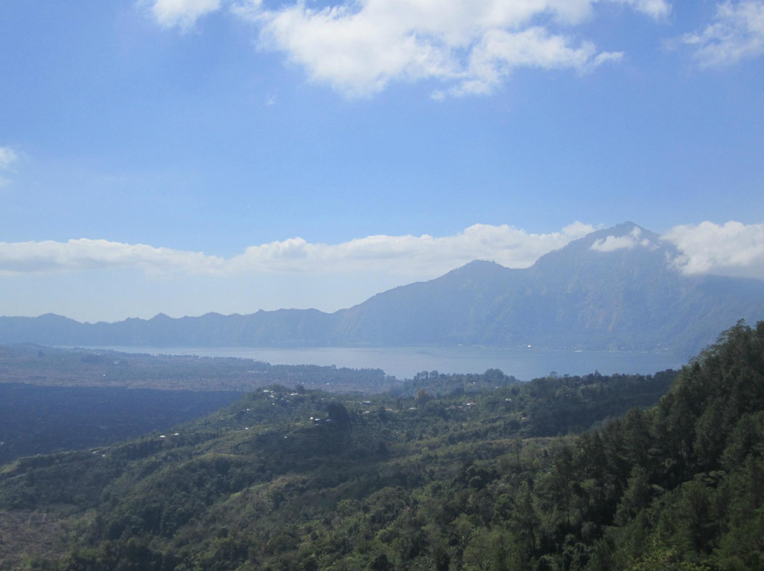 Bali Cycling Tours - Bali Moon Group景点图片