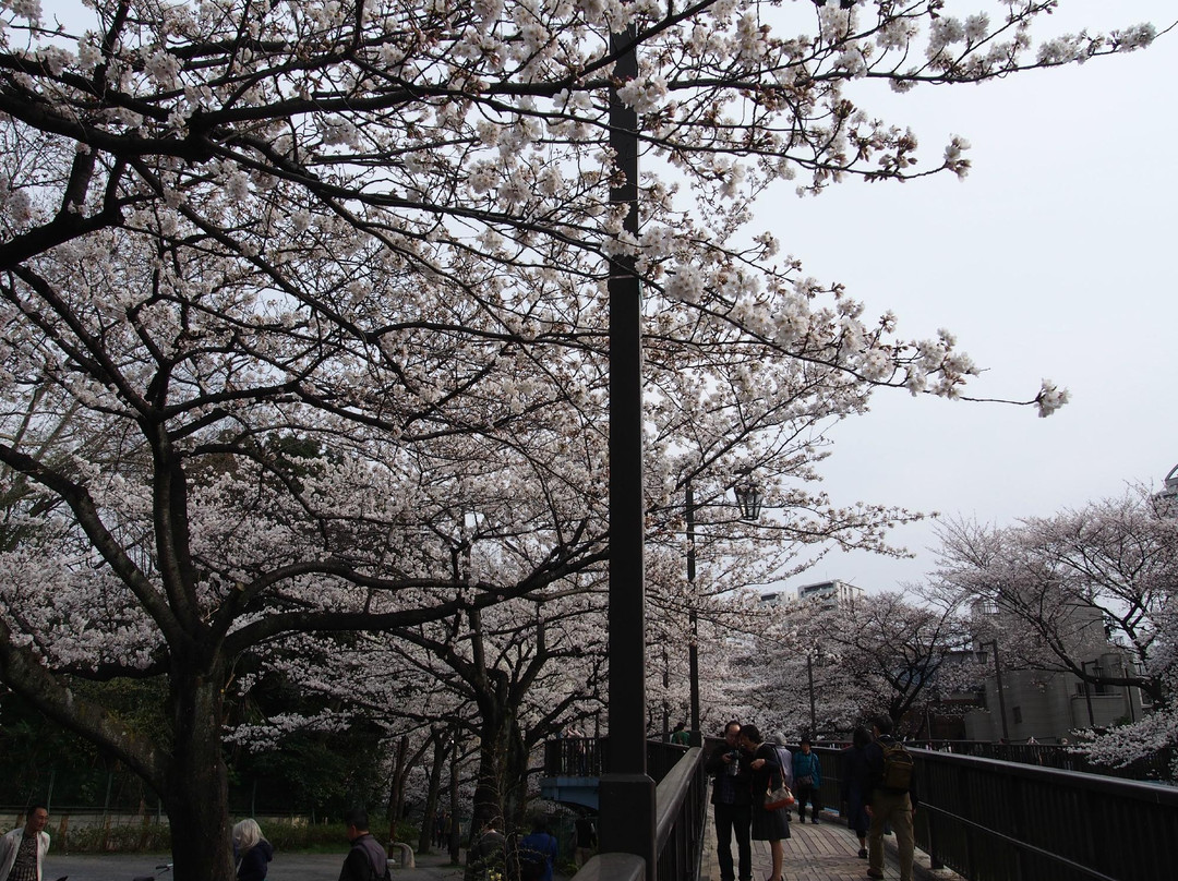 Otonashi Ryokuchi-北区必去景点