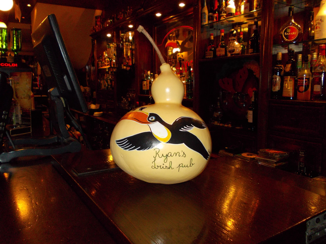 Ryan's Irish Pub-波尔图必去景点