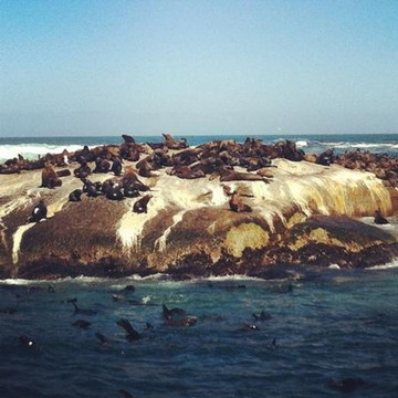 Mytours Day Tours-开普敦中心区必去景点