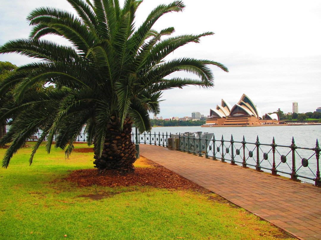 Milsons Point-悉尼必去景点