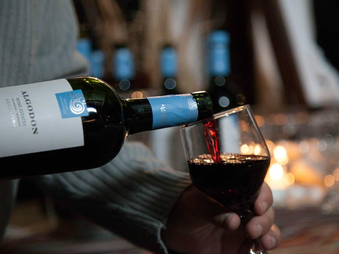 Algodon Winery-圣拉斐尔必去景点