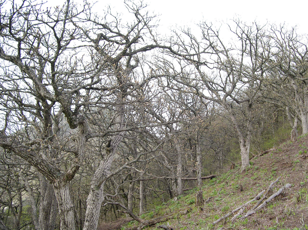 白马尖-霍山县必去景点