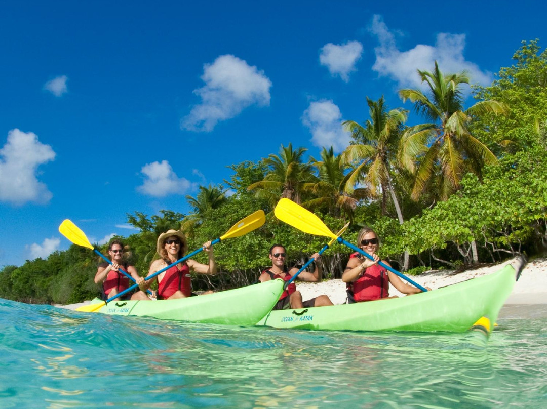 Virgin Islands Ecotours-圣 托马斯必去景点