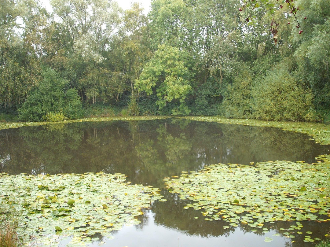 Entente Cordiale Tours-切斯特必去景点