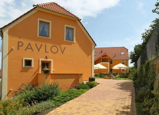 Hotel Pavlov-餐饮