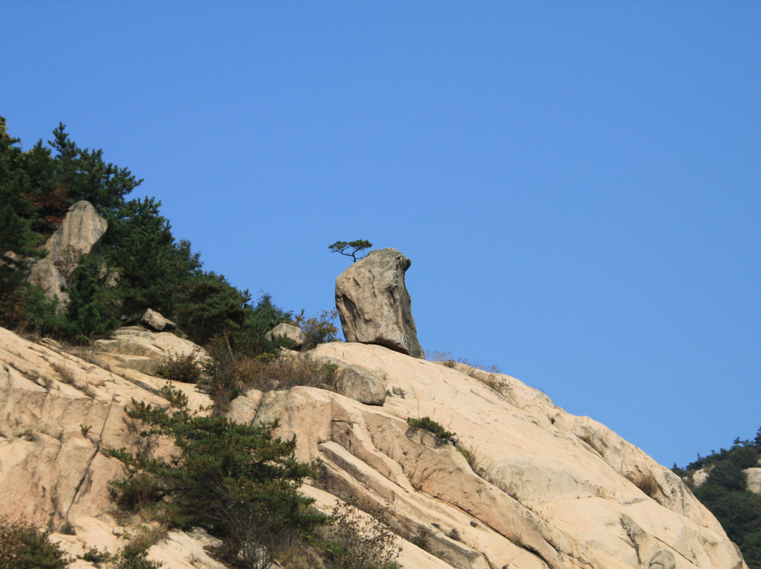 招虎山-海阳市必去景点