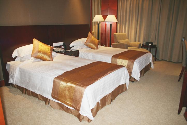 朋生雅居大酒店主图