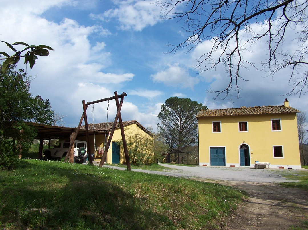 TrattoNaturale Agriturismo Montassi e Bruscolaio