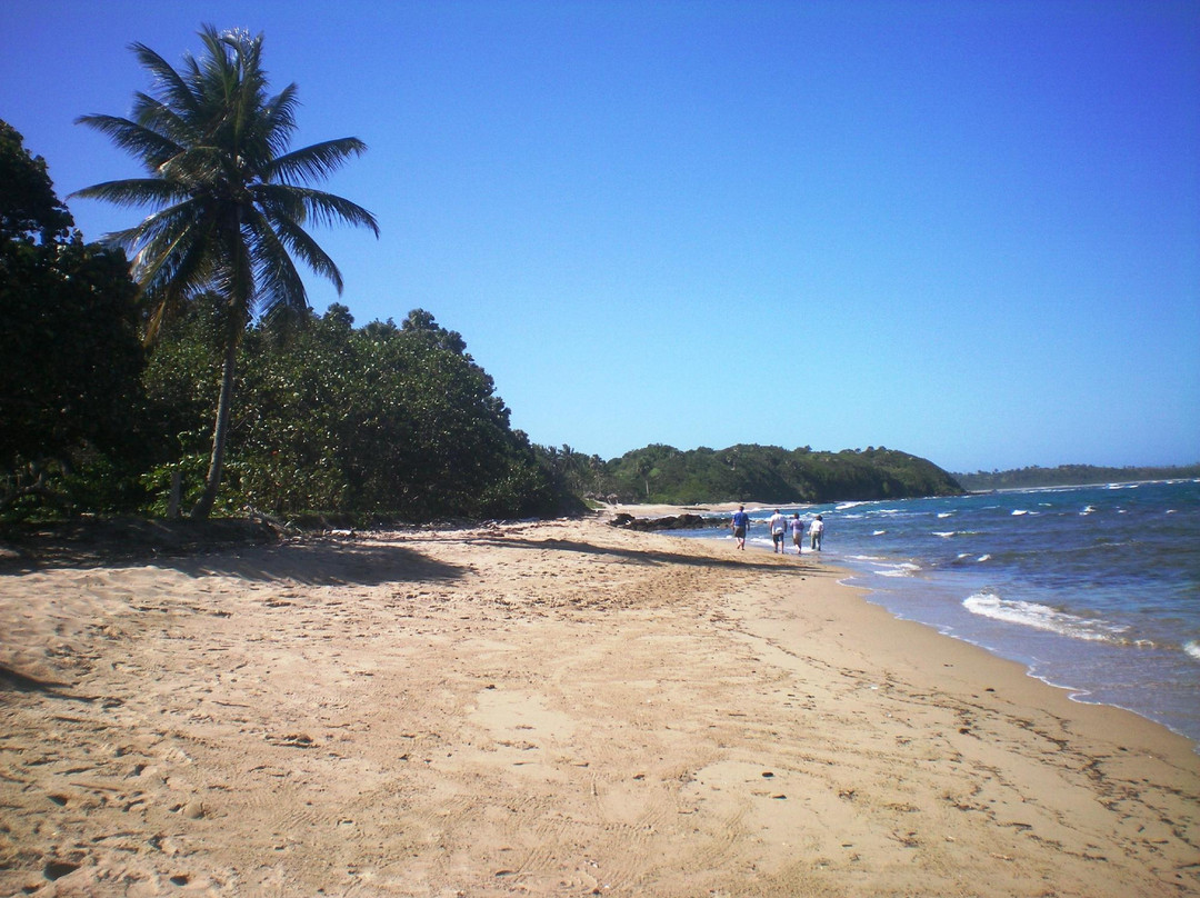Runners Adventures-普拉塔港必去景点