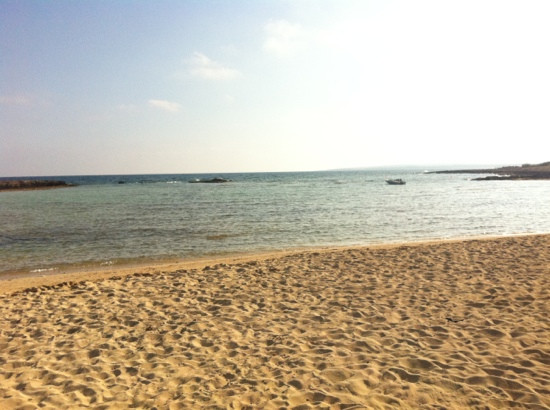 Ayia Thekla Beach景点图片