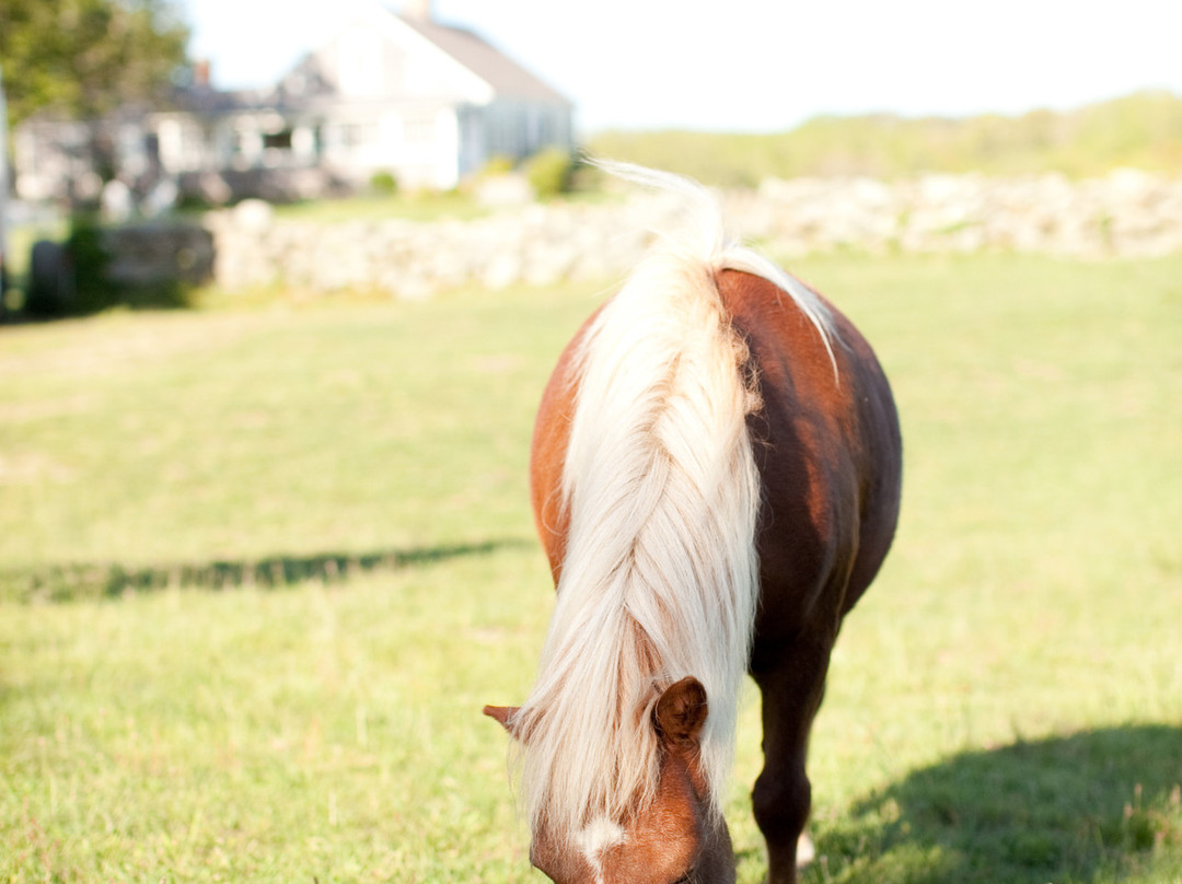 Captain R. Flanders' House主图