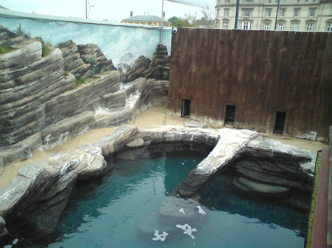 Sea Life Centre Great Yarmouth景点图片